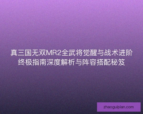 真三国无双MR2全武将觉醒与战术进阶终极指南深度解析与阵容搭配秘笈