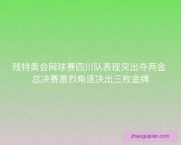 残特奥会网球赛四川队表现突出夺两金 总决赛激烈角逐决出三枚金牌